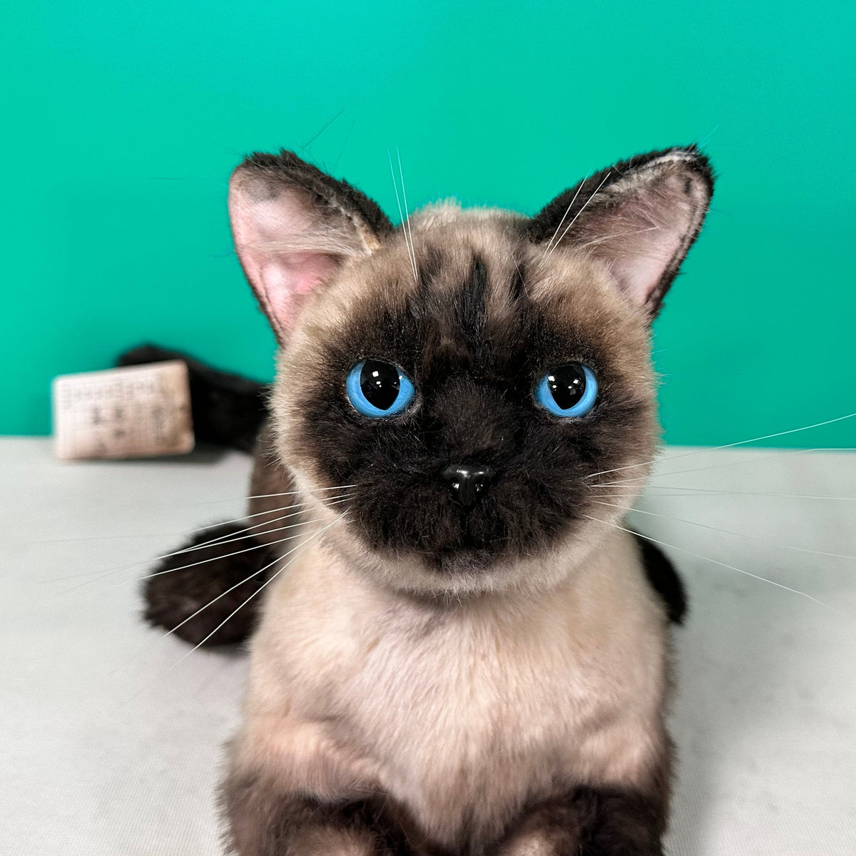 Plush Siamese Shorthair Cat-Weighted-Handmade Life-Size Companion & Pet Memorial