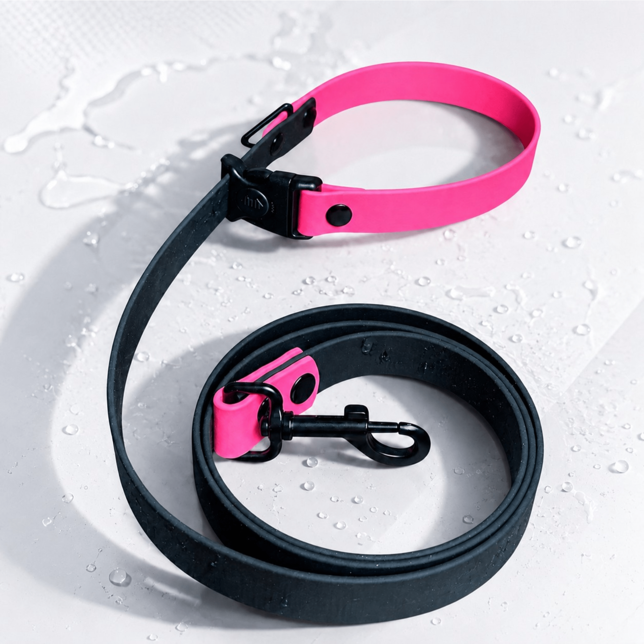 Sport Collection Leashes